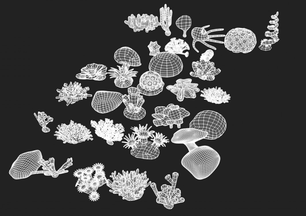 Coral Pack Low-poly 3D model_10