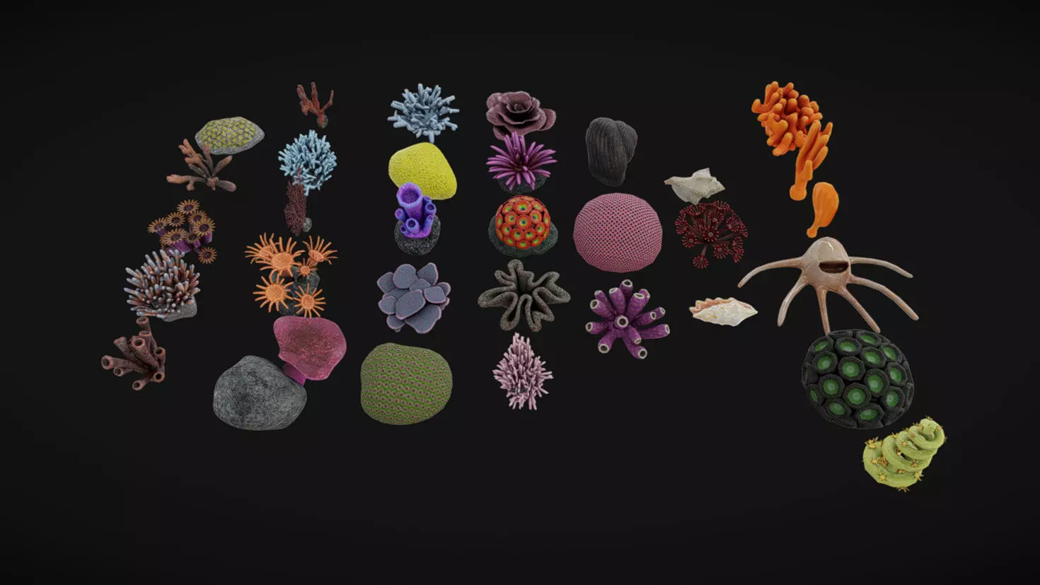 Coral Pack Low-poly 3D model_0