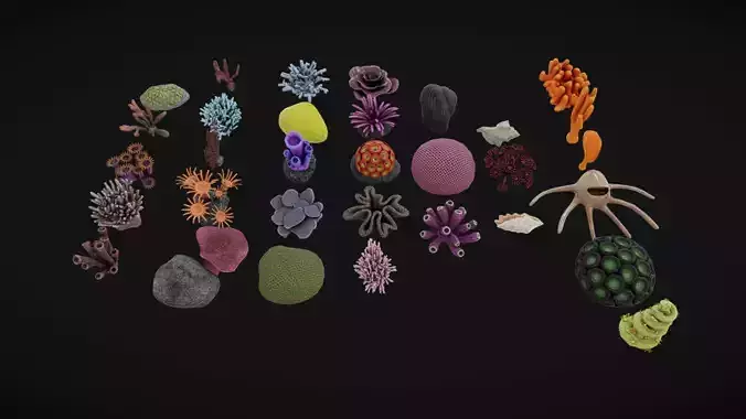 Coral Pack Low-poly 3D model