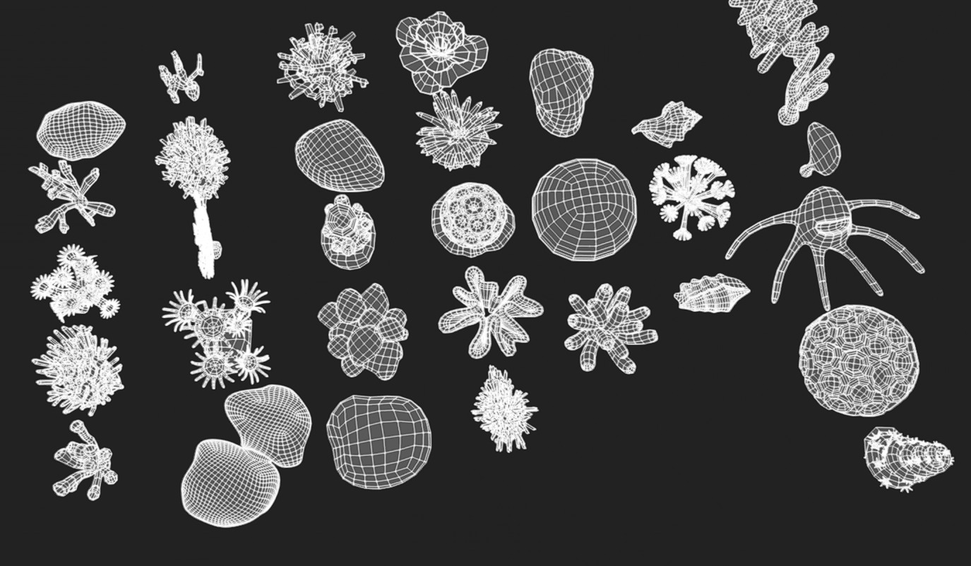 Coral Pack Low-poly 3D model_11