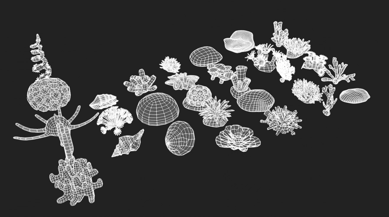 Coral Pack Low-poly 3D model_9