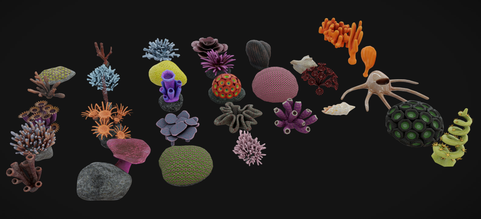 Coral Pack Low-poly 3D model_1