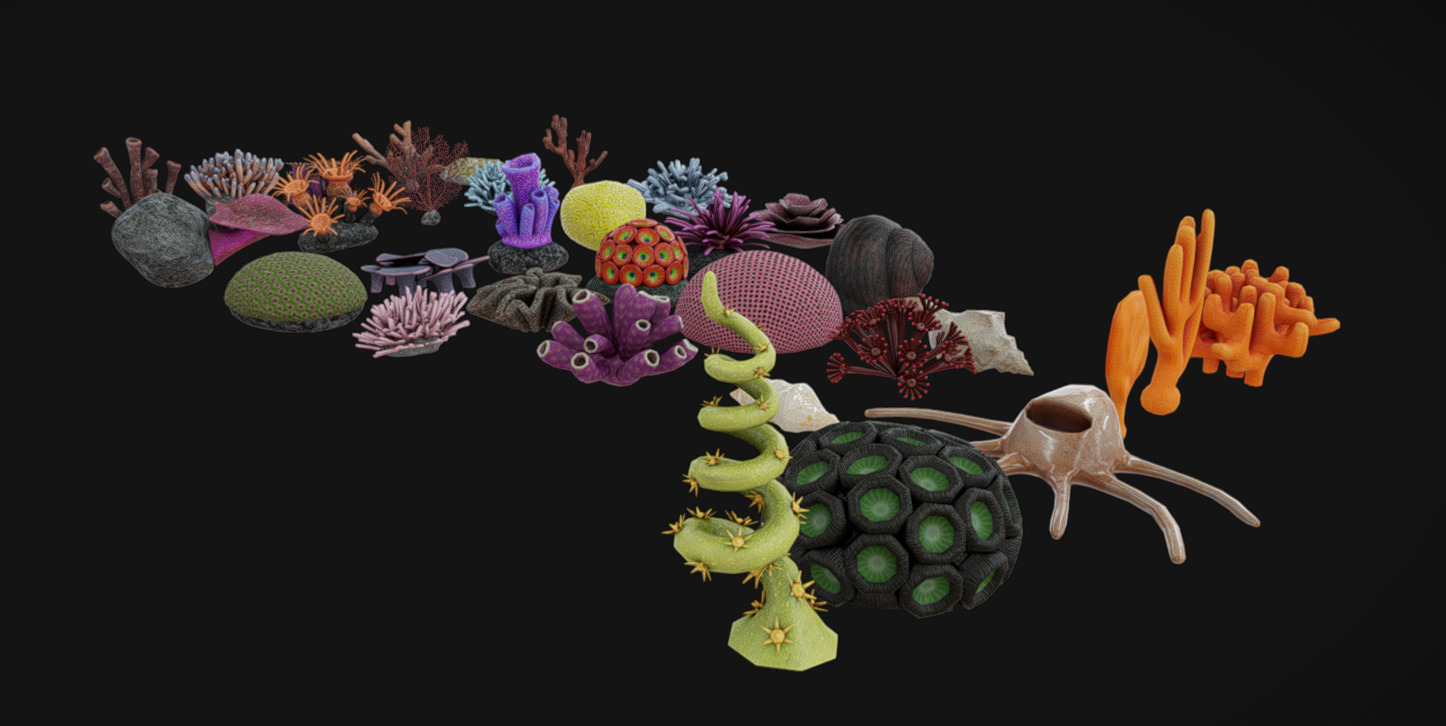 Coral Pack Low-poly 3D model_3
