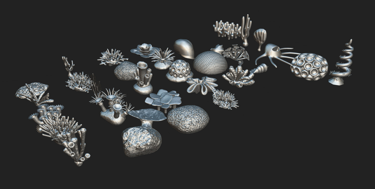 Coral Pack Low-poly 3D model_7