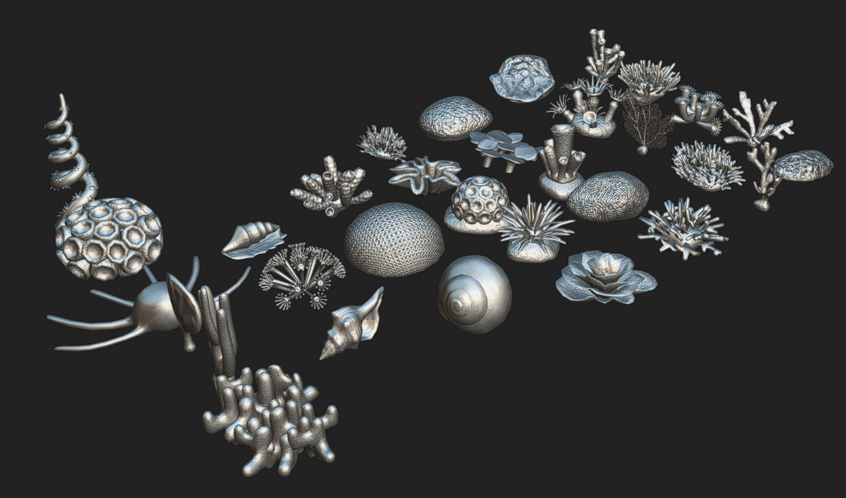Coral Pack Low-poly 3D model_8