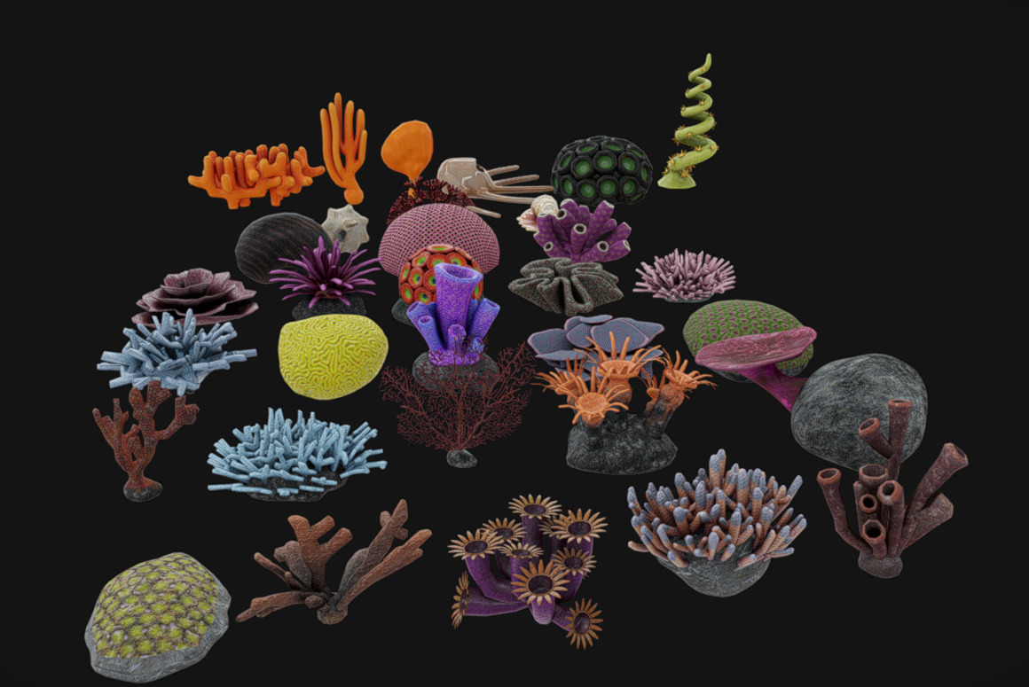 Coral Pack Low-poly 3D model_2