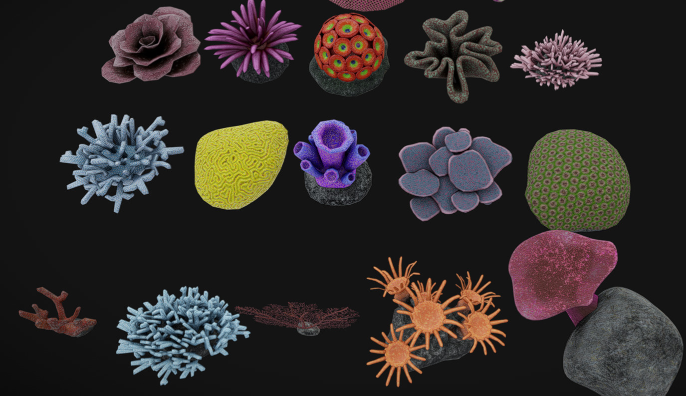Coral Pack Low-poly 3D model_6