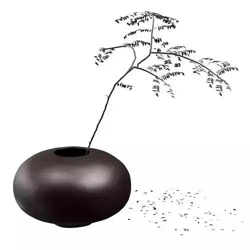 Decorative set with Audo Pavot vase and acacia branch