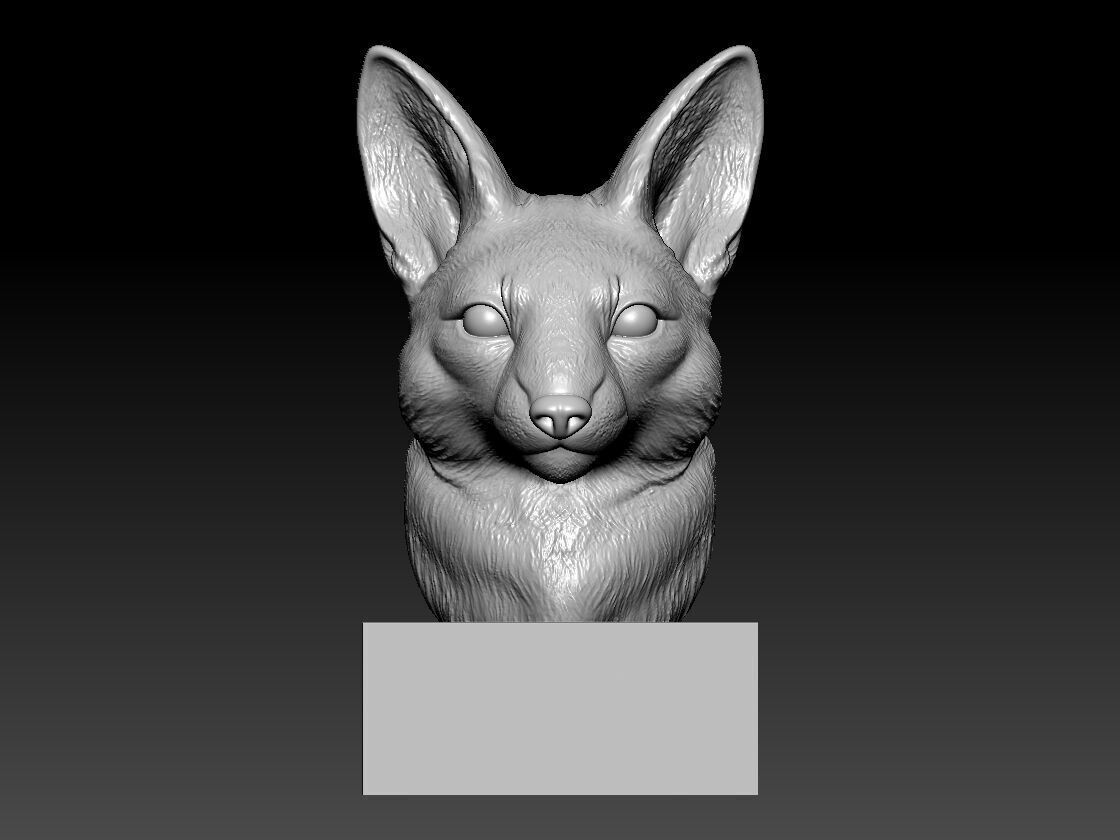 Fox bust - Fennec Fox head model - 3D print 3D print model_1
