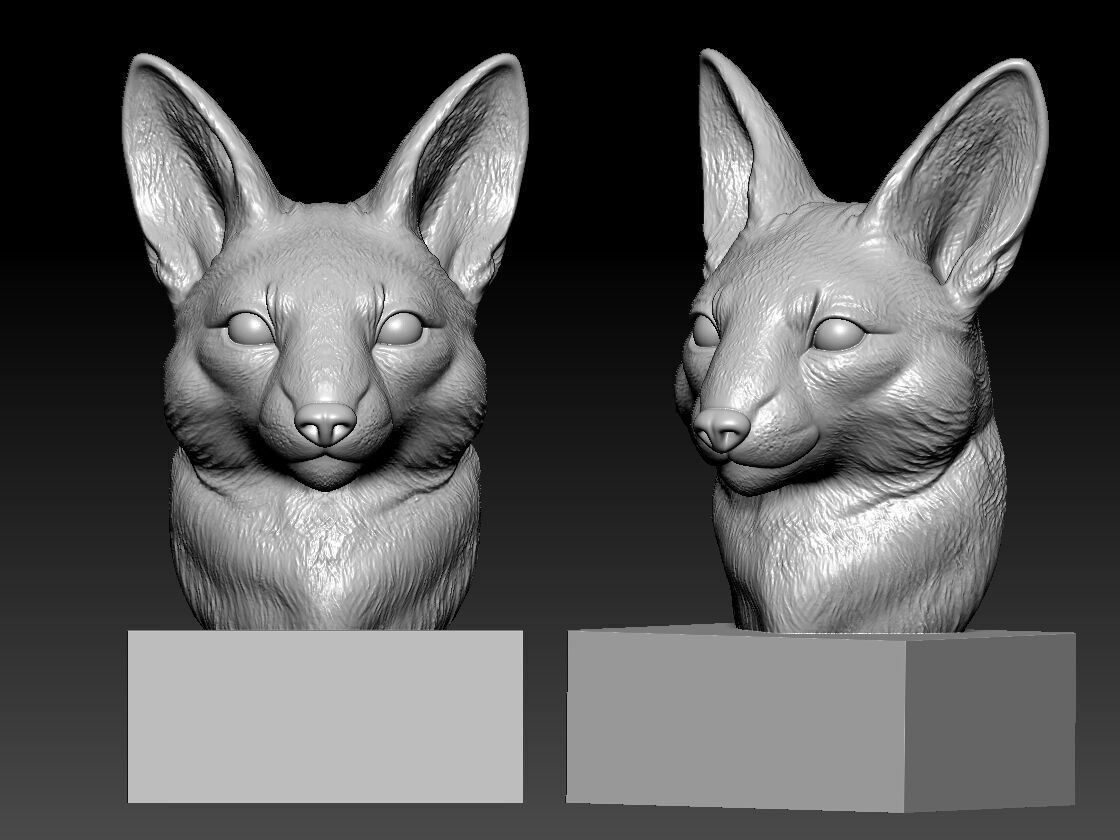 Fox bust - Fennec Fox head model - 3D print 3D print model_2