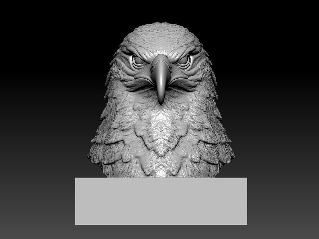Eagle bust - Hawk head model - 3D print 3D print model_1
