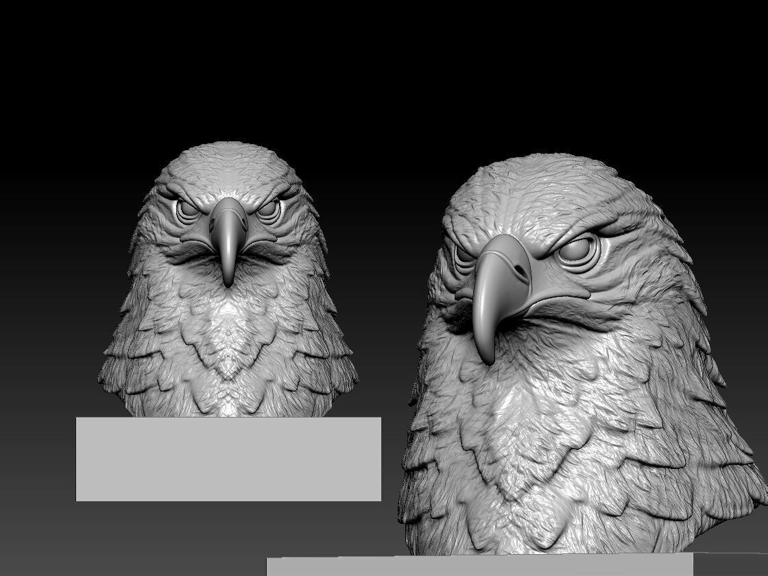 Eagle bust - Hawk head model - 3D print 3D print model_2