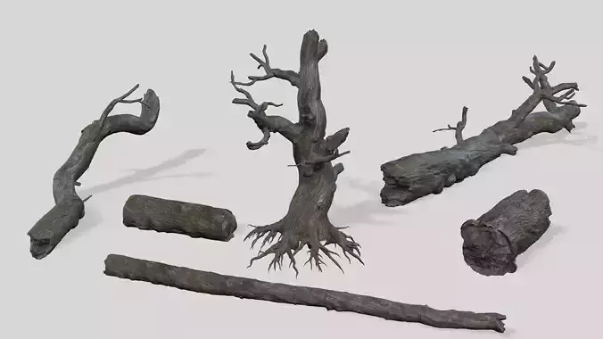 Quercus dead collection and Polipolium plants