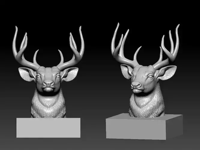 Cervus canadensis - Deer bust model - 3D print