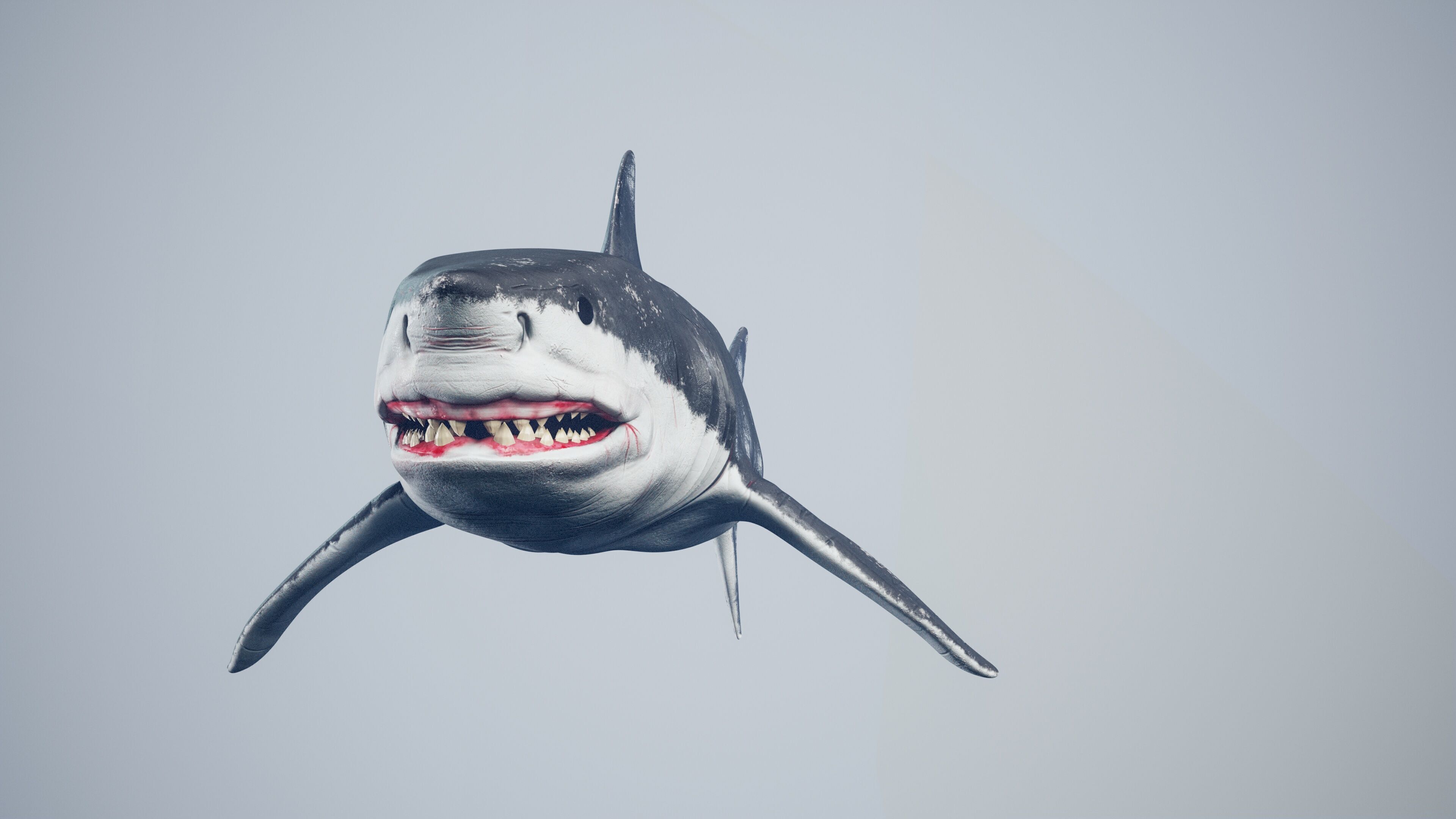 Great White Shark Low-poly 3D model_5