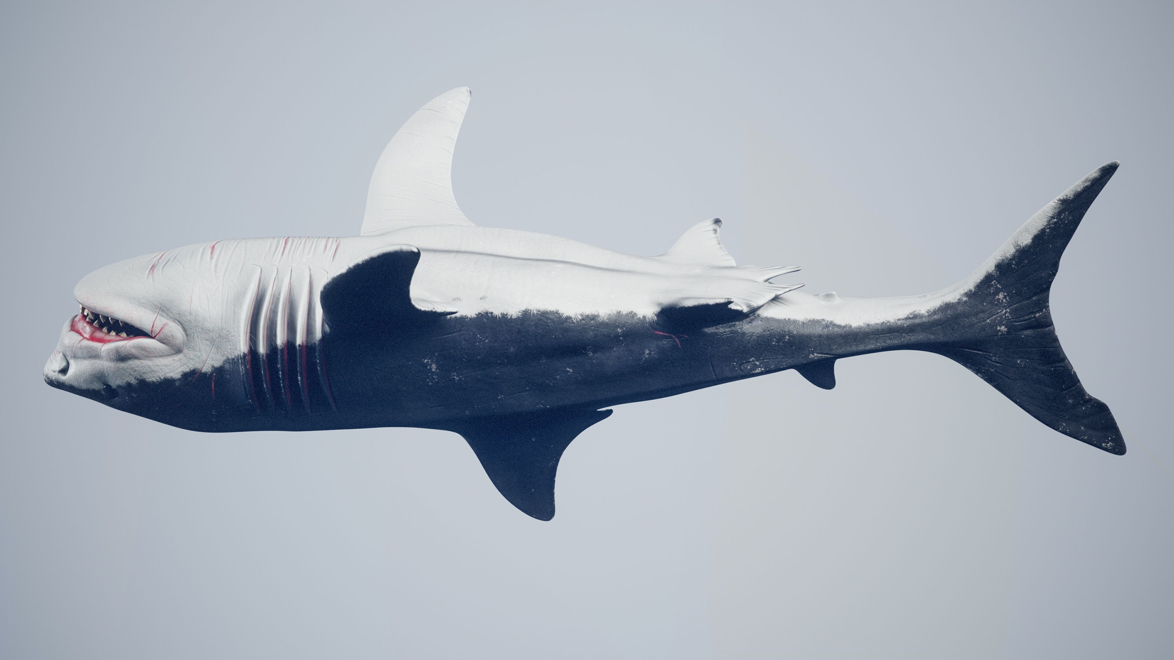 Great White Shark Low-poly 3D model_28