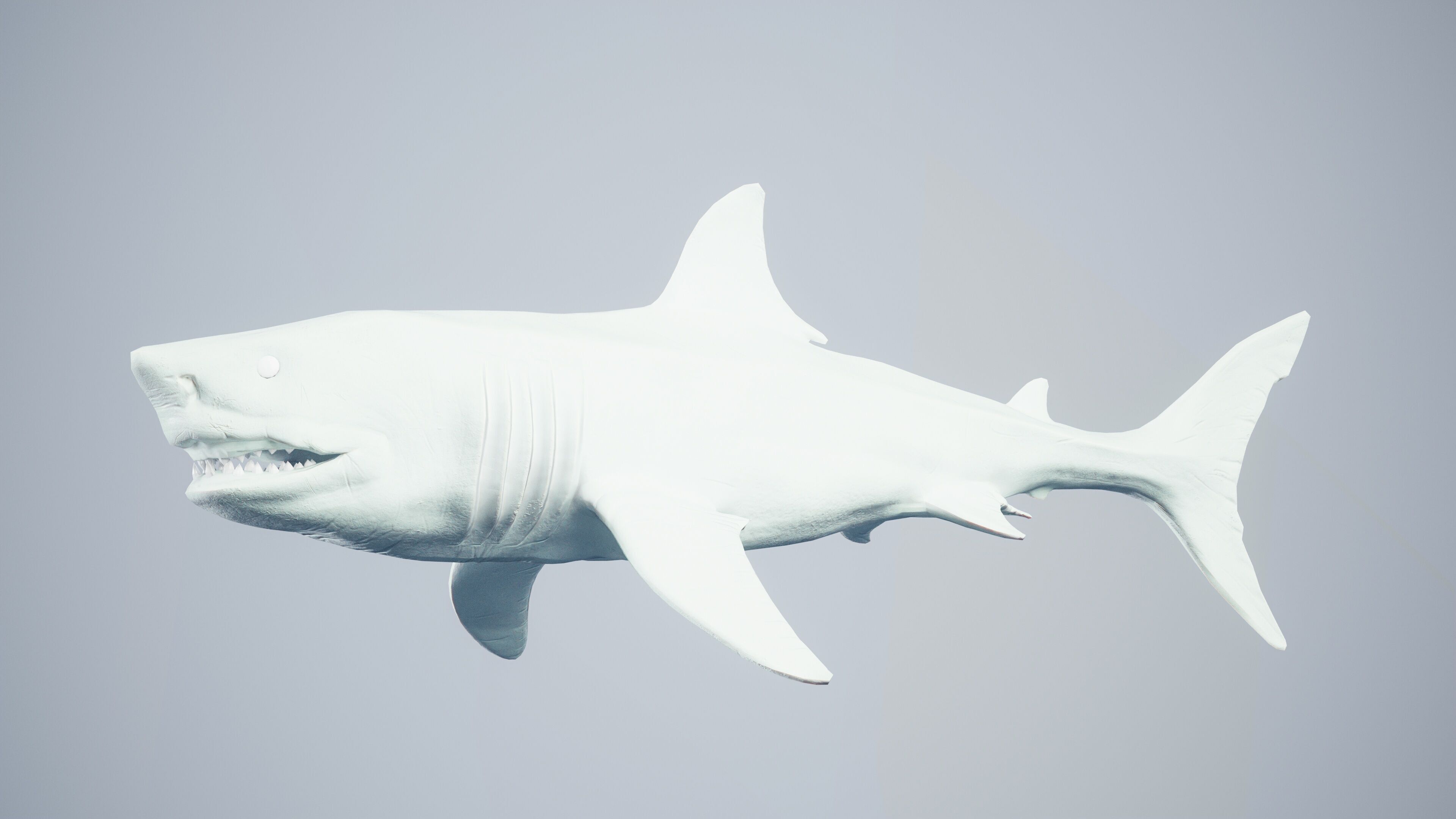 Great White Shark Low-poly 3D model_42