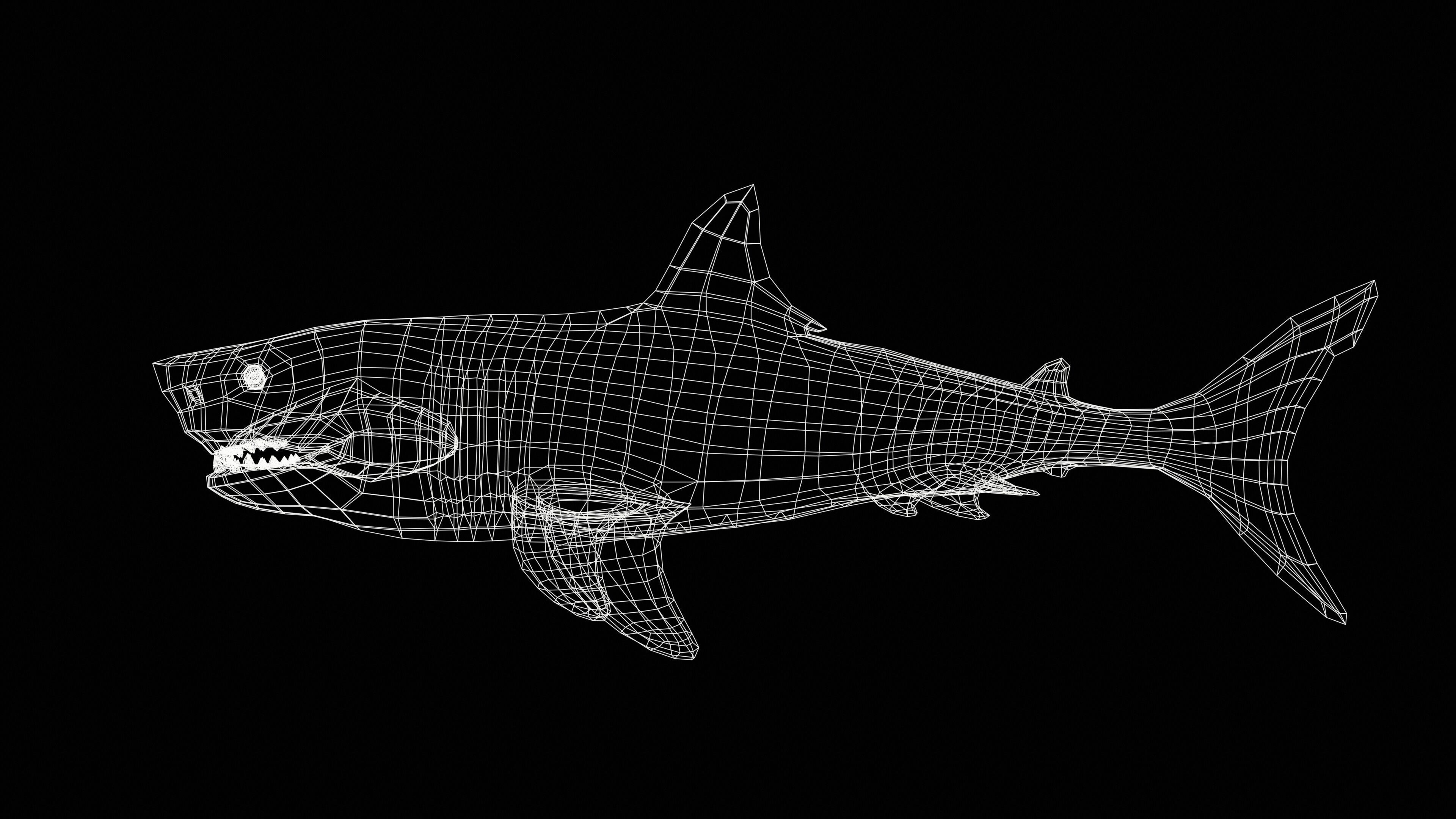 Great White Shark Low-poly 3D model_43