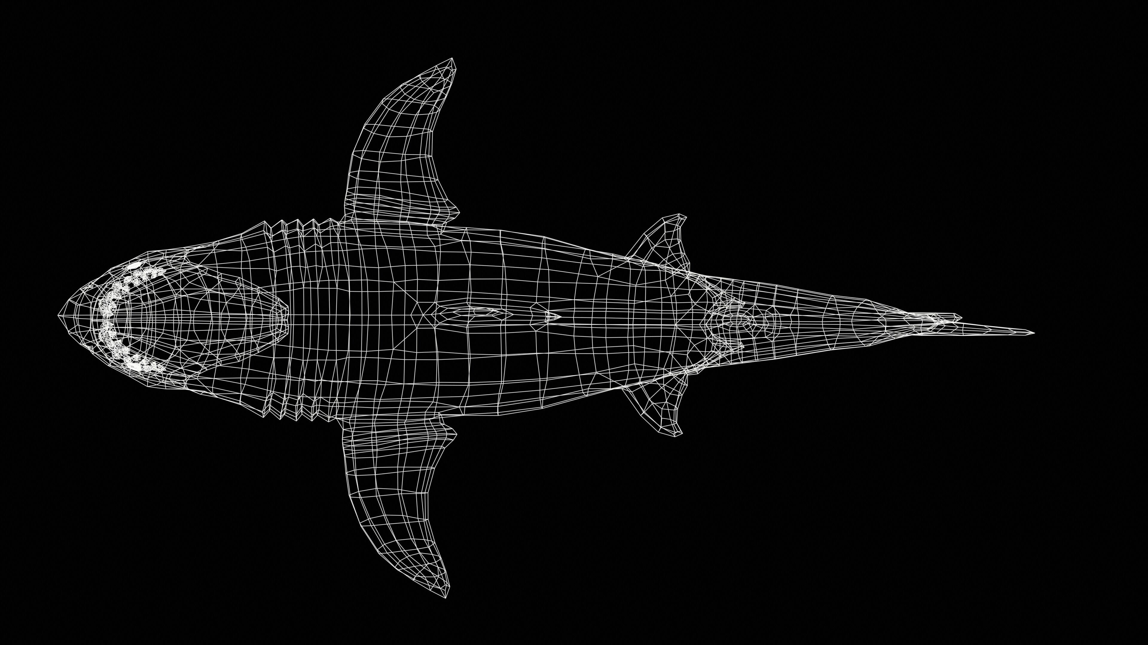 Great White Shark Low-poly 3D model_45