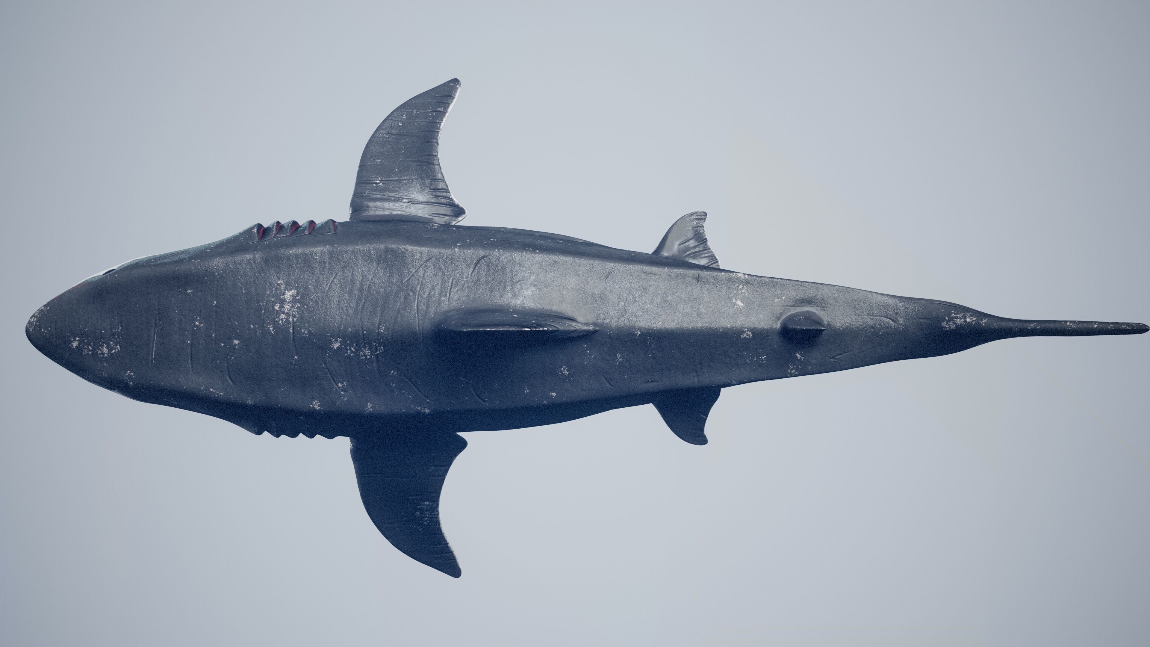 Great White Shark Low-poly 3D model_31