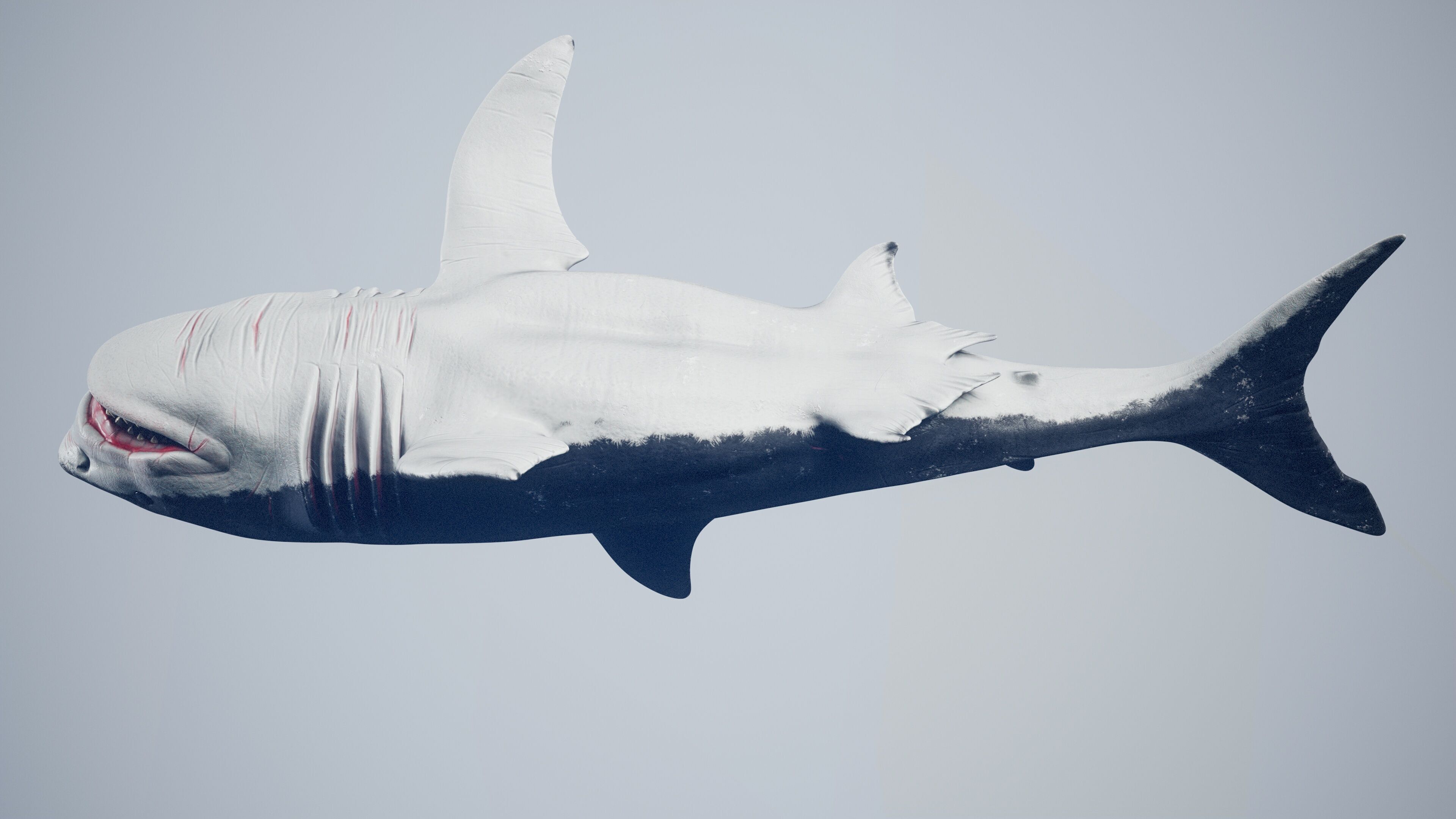 Great White Shark Low-poly 3D model_27