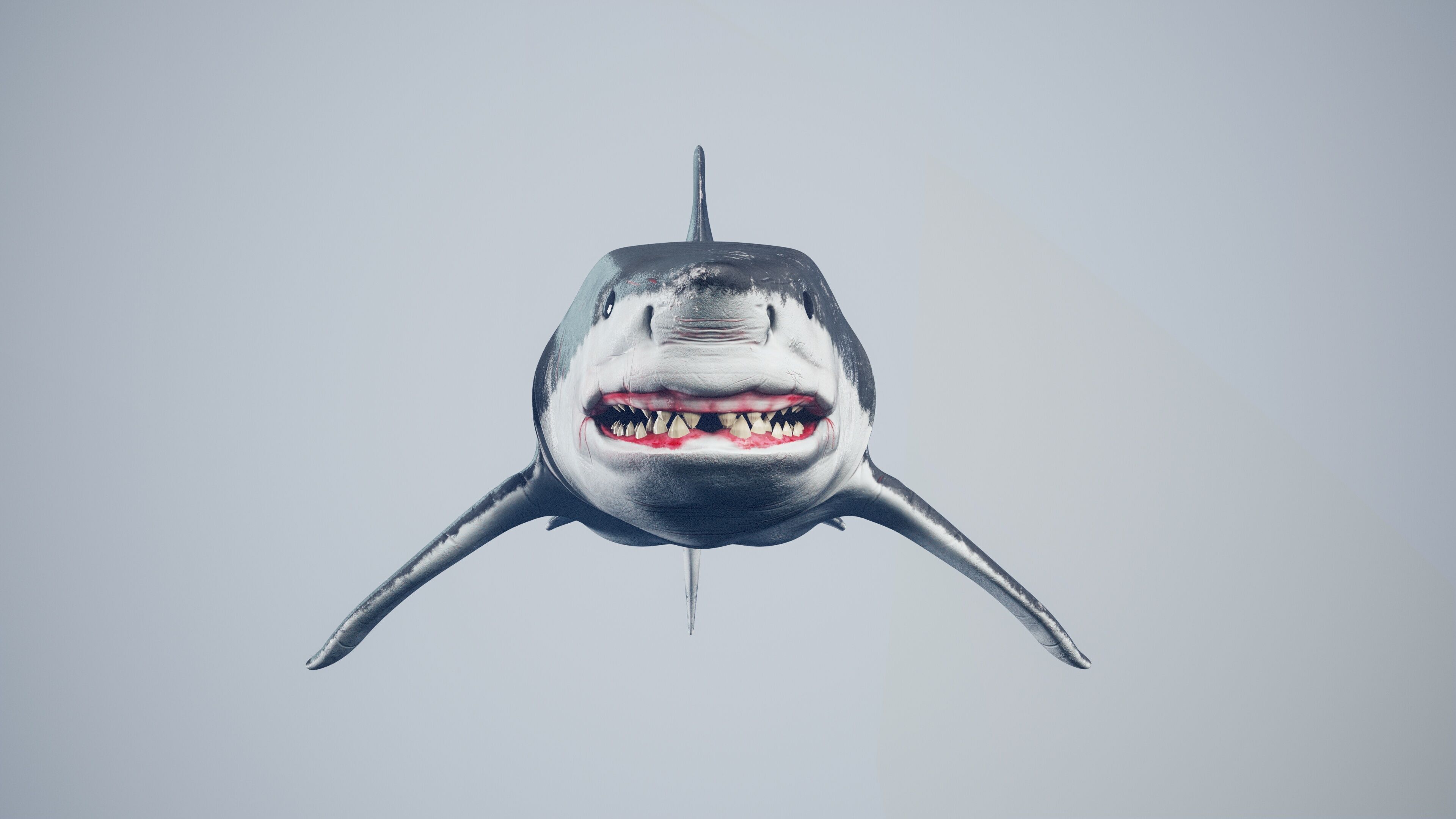 Great White Shark Low-poly 3D model_6