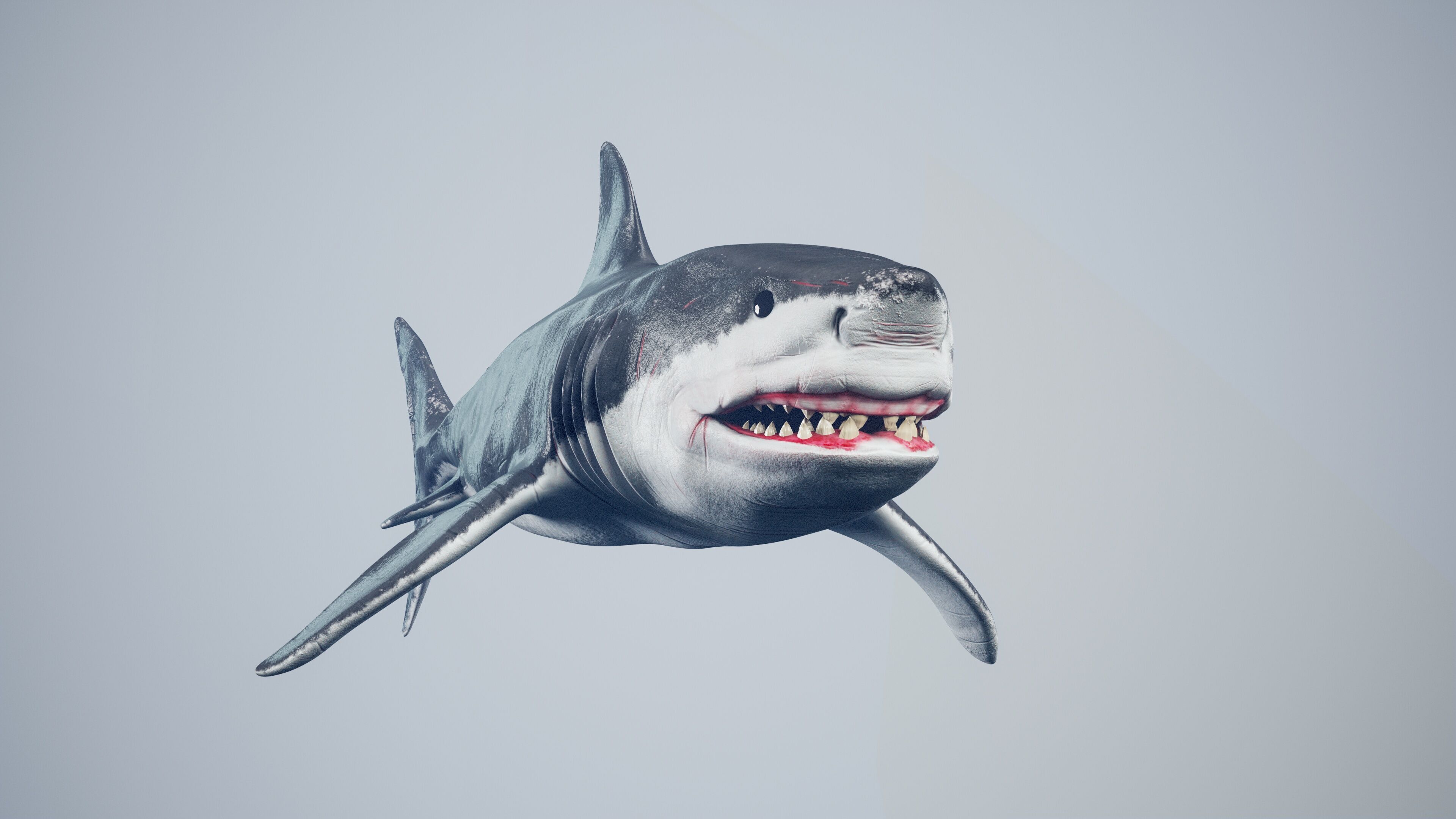 Great White Shark Low-poly 3D model_7