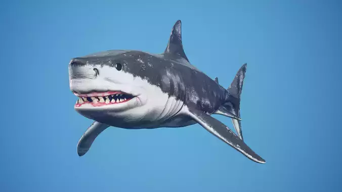 Great White Shark Low-poly 3D model