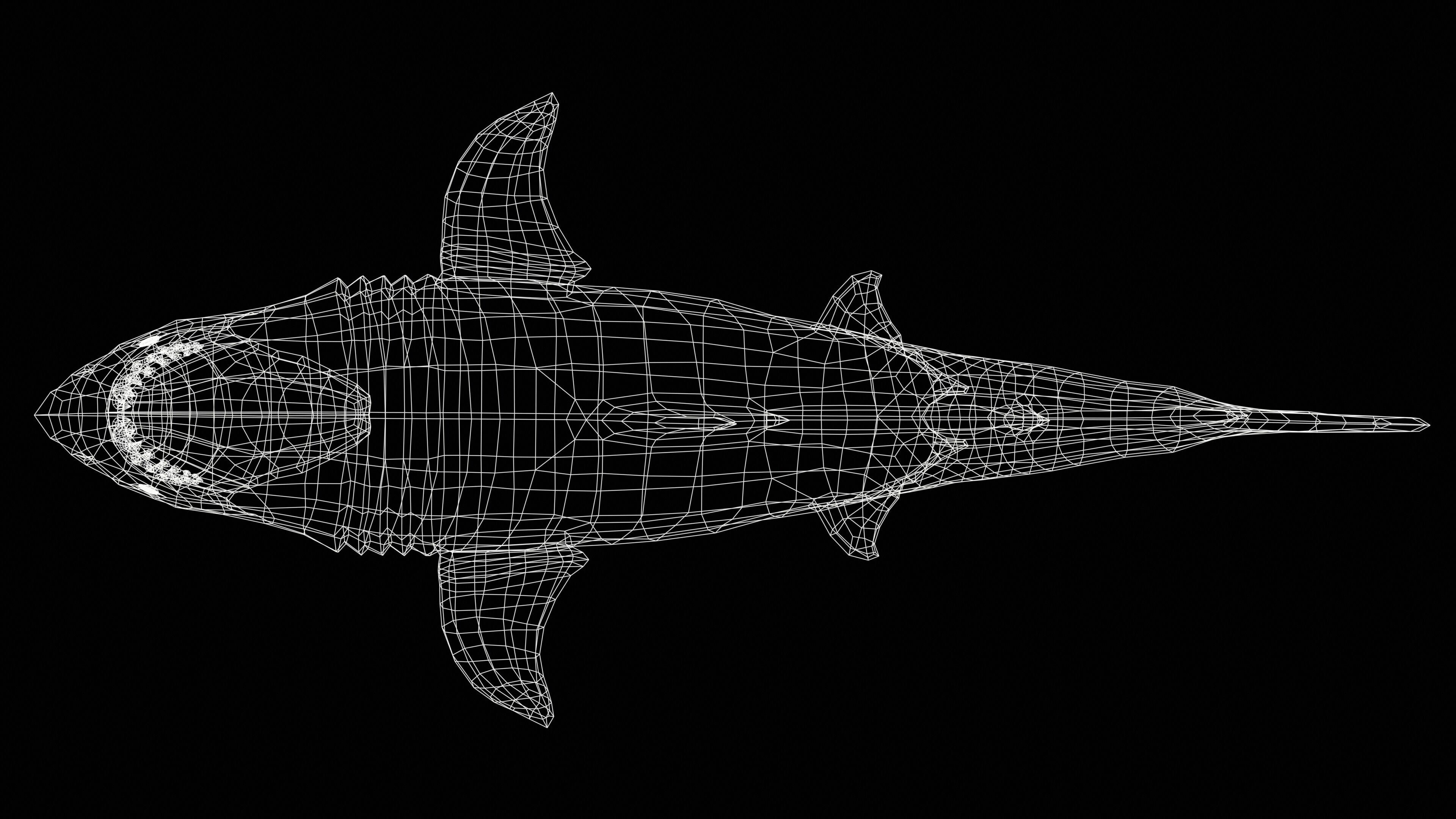 Great White Shark Low-poly 3D model_44