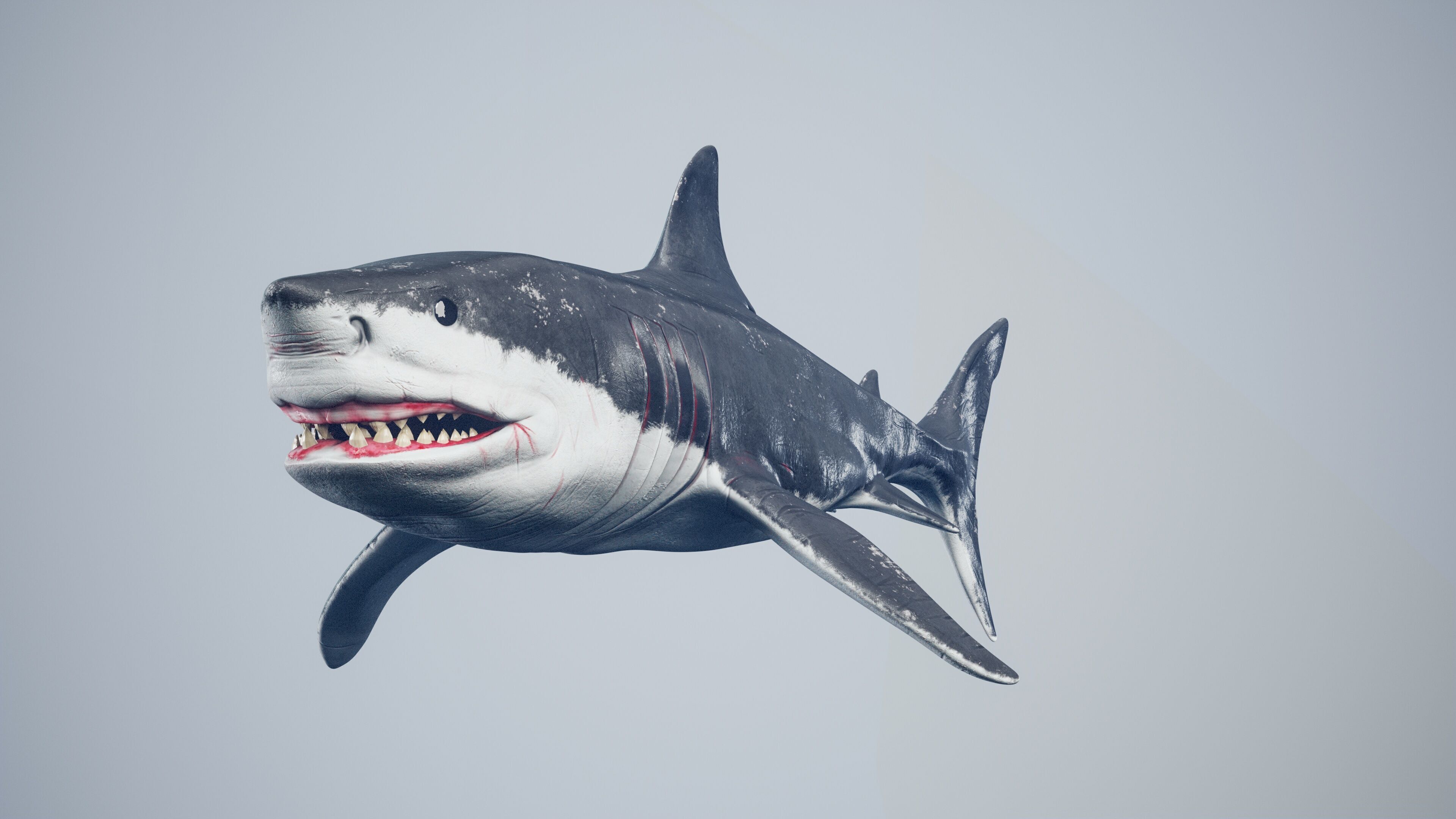 Great White Shark Low-poly 3D model_4