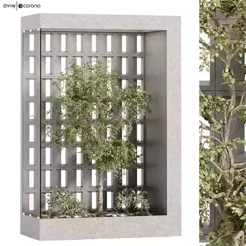 minimal courtyard green plant in box set 521