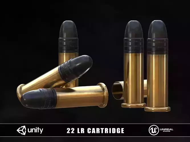 22 LR Cartridge