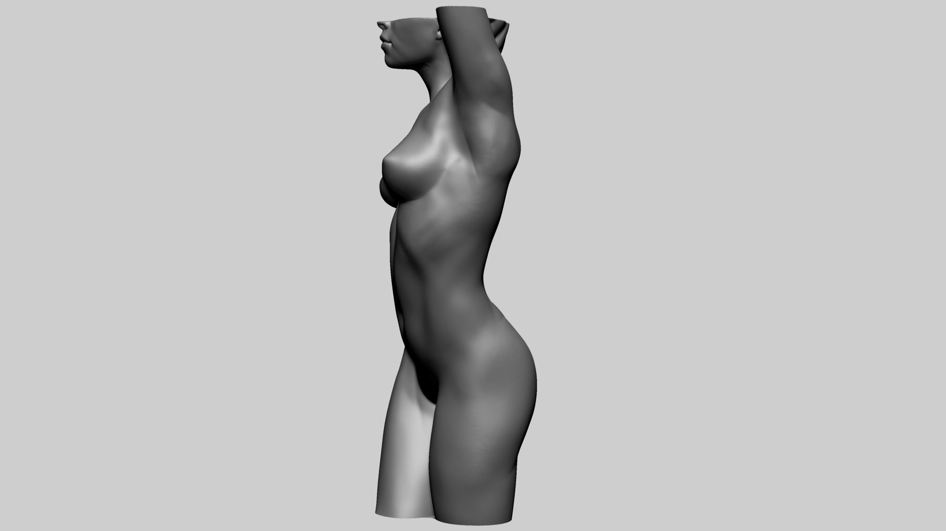 Female Torso C 3D model_7