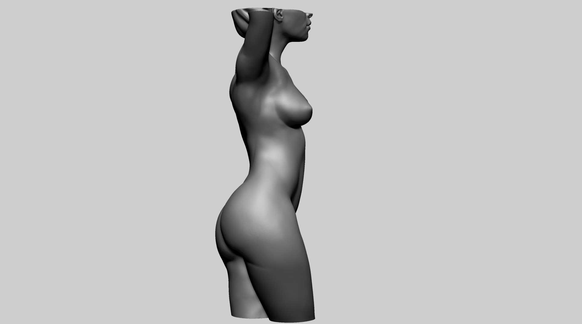 Female Torso C 3D model_8