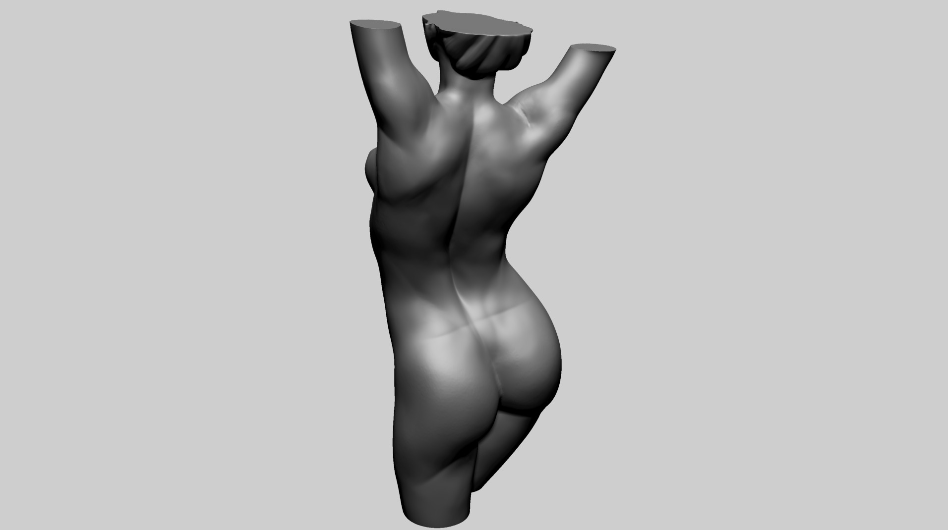 Female Torso C 3D model_6