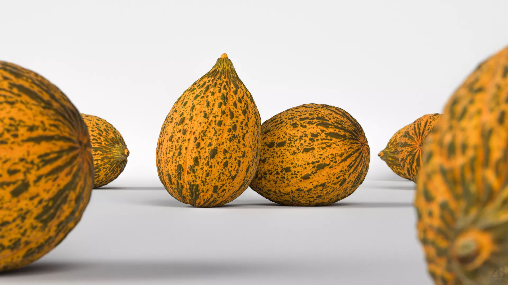 Melon 3D model_1