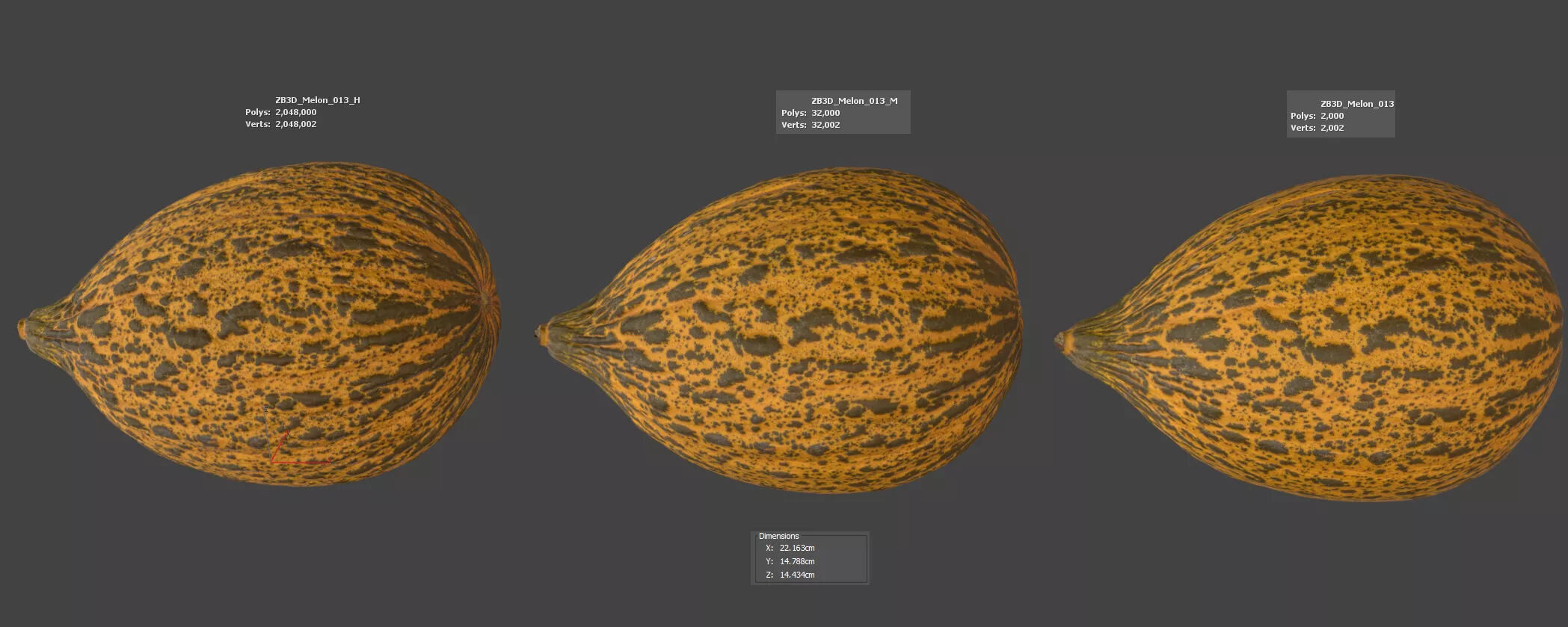 Melon 3D model_5