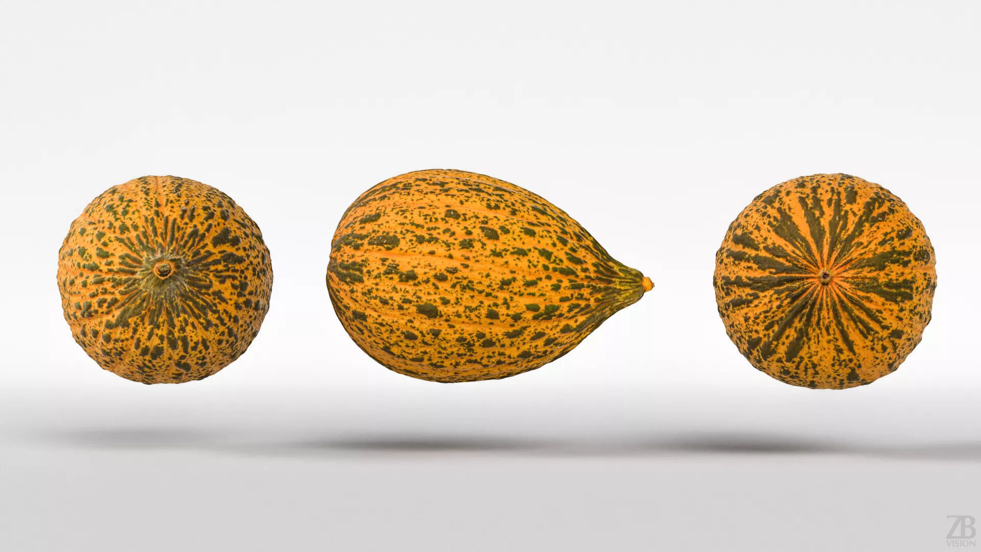 Melon 3D model_4