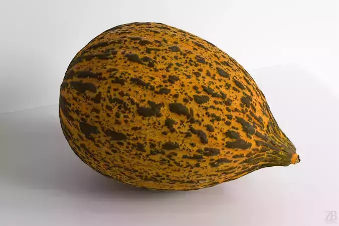 Melon 3D model