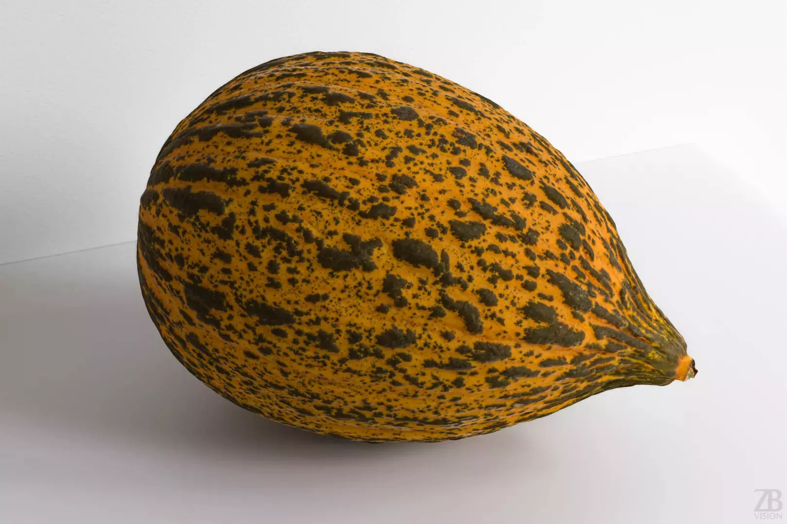 Melon 3D model_0