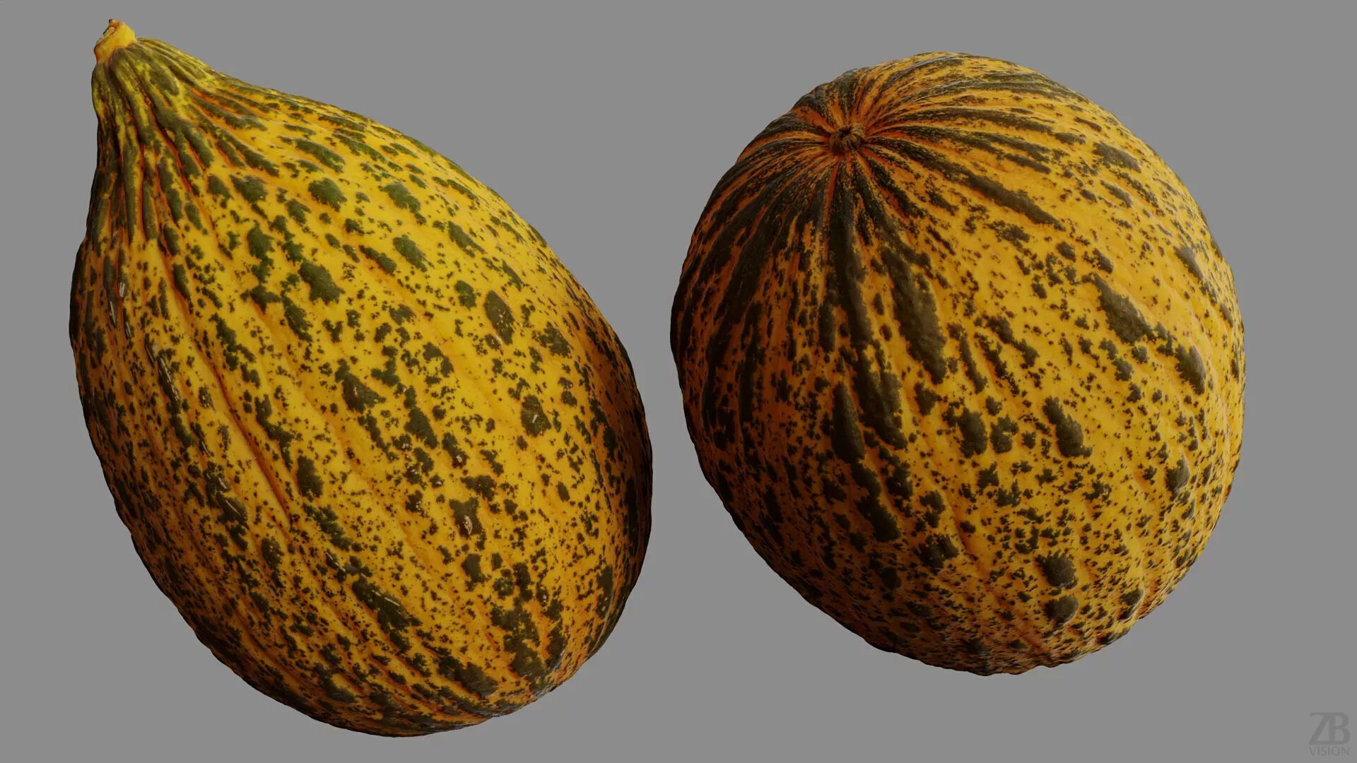 Melon 3D model_8