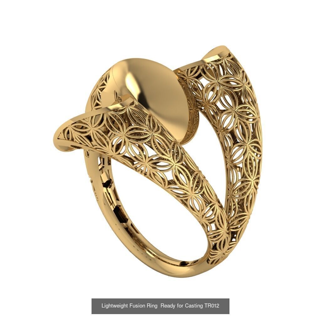30 light weight fusion ring ready to cast and print  3D Model Collection_32