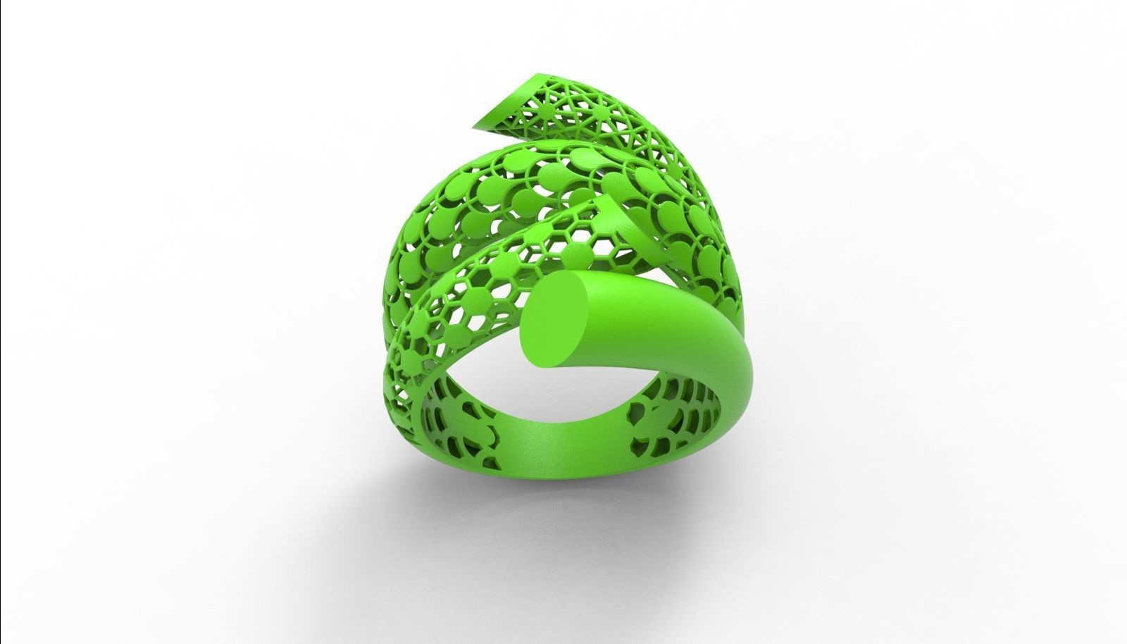 30 light weight fusion ring ready to cast and print  3D Model Collection_111