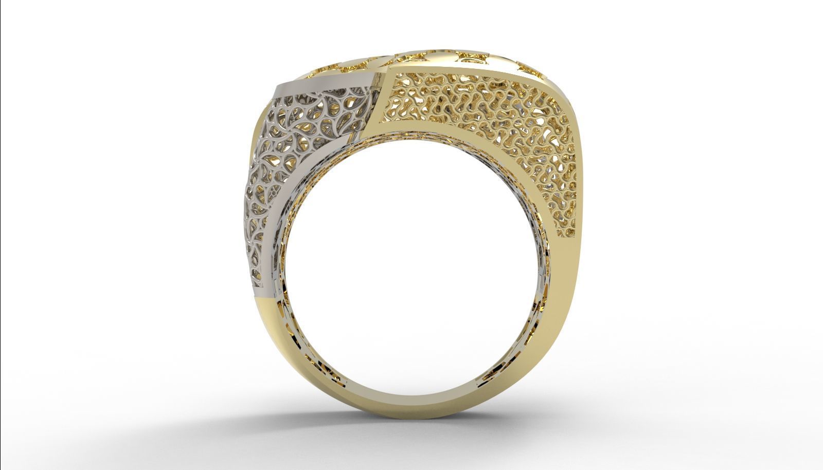 30 light weight fusion ring ready to cast and print  3D Model Collection_152