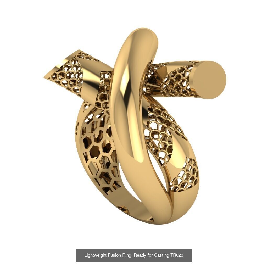 30 light weight fusion ring ready to cast and print  3D Model Collection_20