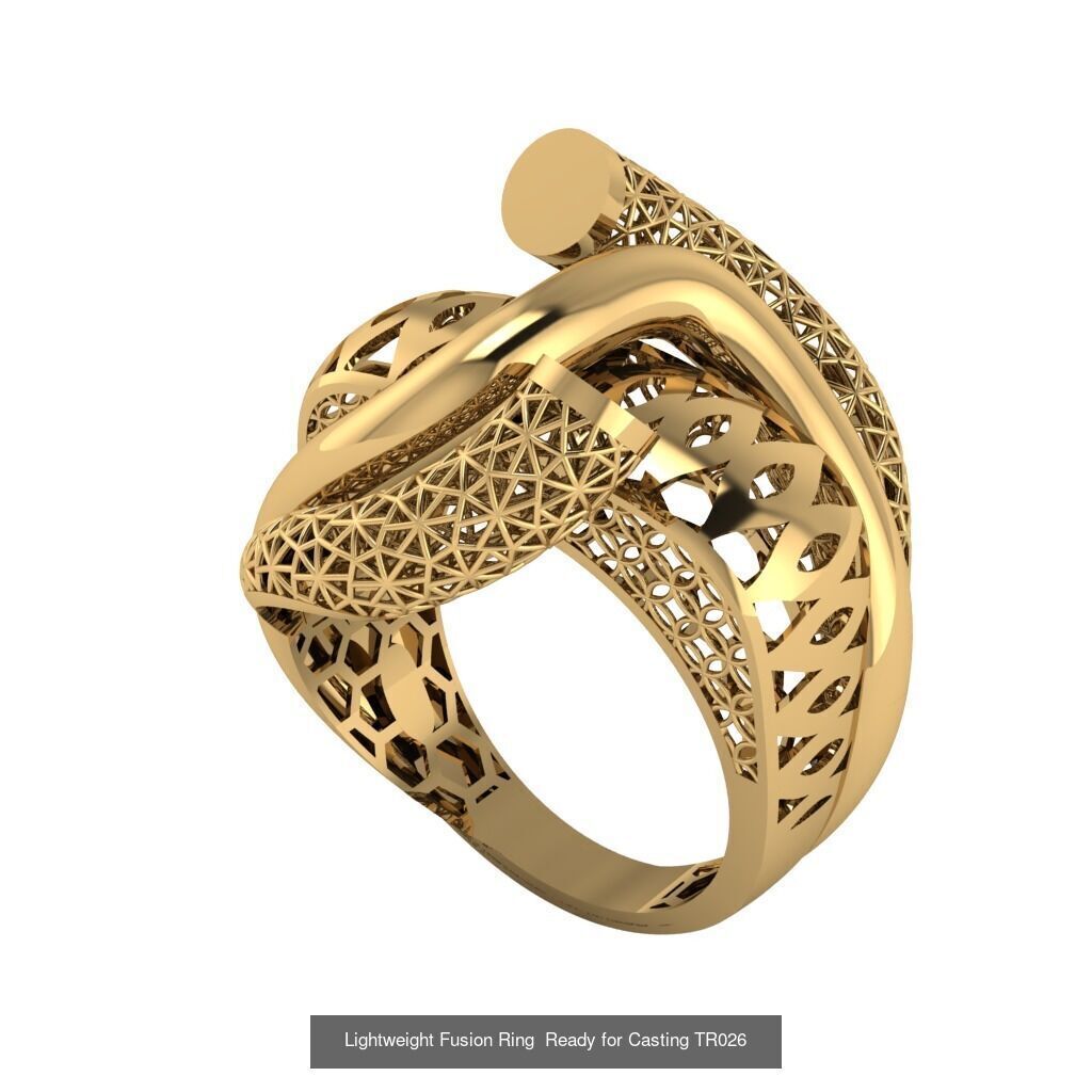 30 light weight fusion ring ready to cast and print  3D Model Collection_17