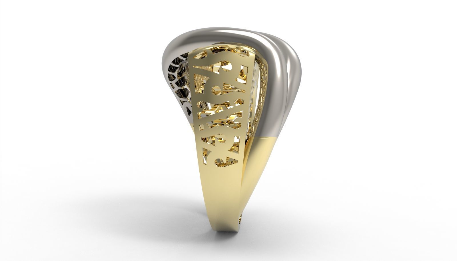 30 light weight fusion ring ready to cast and print  3D Model Collection_135