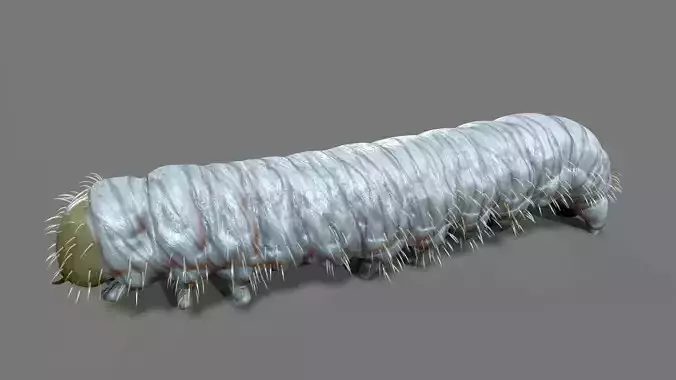 Caterpillar Low-poly 3D model