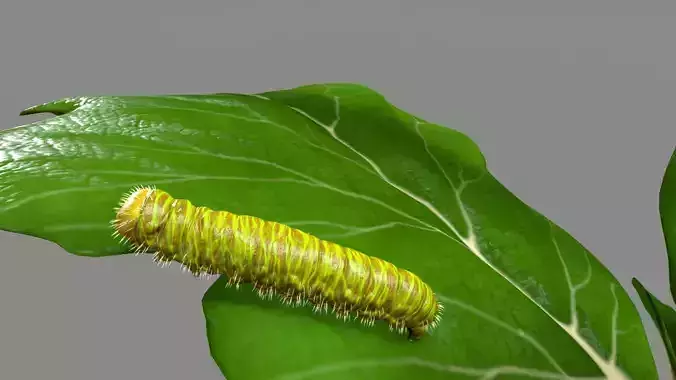 butterfly larva Low-poly 3D model