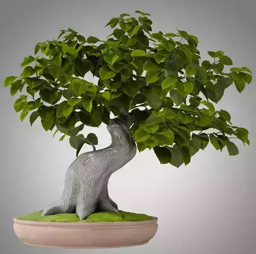 Stylized Tilia Bonsai Tree Gameready 3LODs Low-poly 3D model